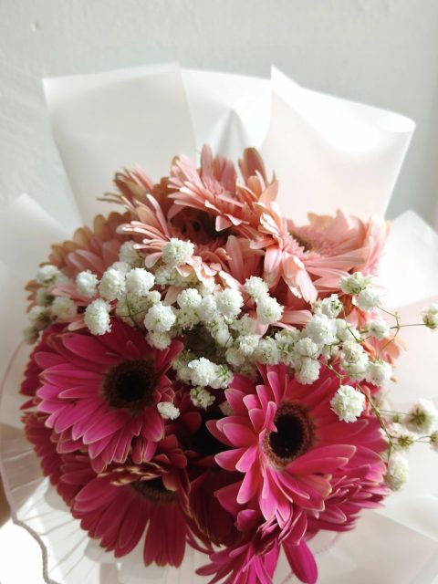 471228043_1325059355513329_8455722822055353436_n