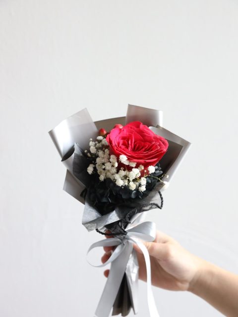 WhatsApp Image 2025-02-11 at 21.58.26